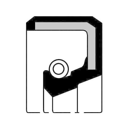 PAYEN Wellendichtring, Differential NF032