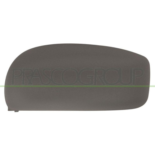 PRASCO Abdeckung, Au&szlig;enspiegel FT3507414