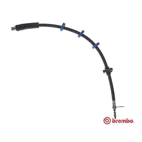 BREMBO Bremsschlauch ESSENTIAL LINE T 61 034