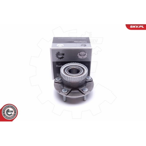 ESEN SKV Radlagersatz