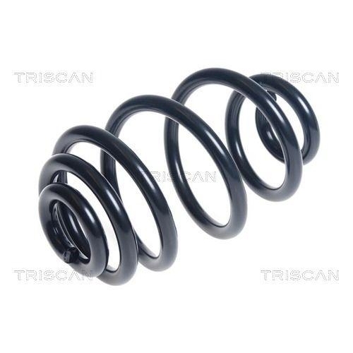 TRISCAN Fahrwerksfeder 8750 11173