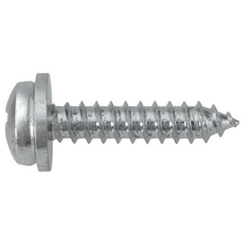 100 St&uuml;ck Nummernschildschrauben PH, verzinkt f&uuml;r Opel 5,5 X 25 SWG