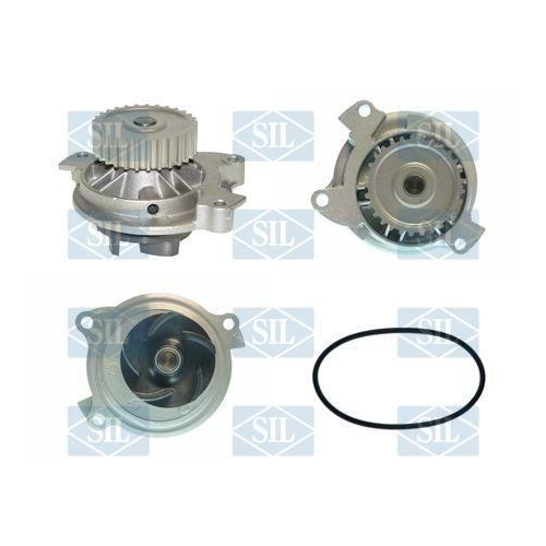 Saleri SIL Wasserpumpe, Motorkühlung