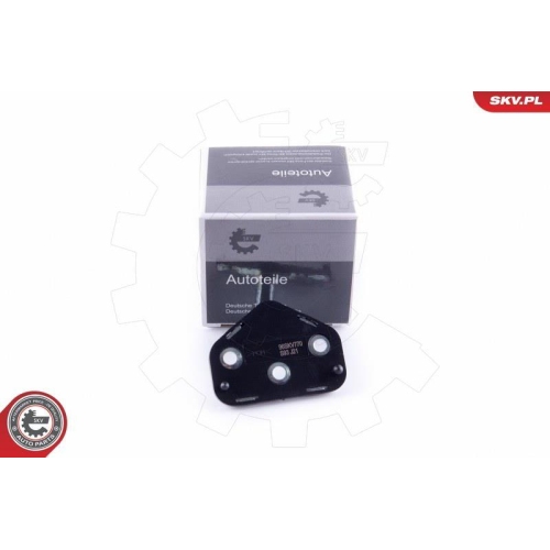 ESEN SKV T&uuml;rfeststeller