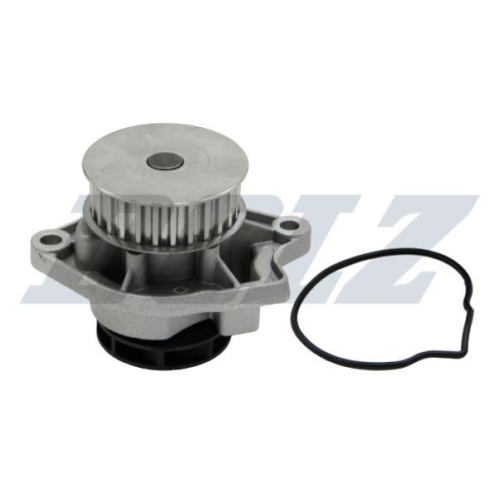 DOLZ Wasserpumpe, Motorkühlung