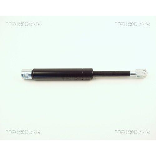 TRISCAN Gasfeder, Koffer-/Laderaum 8710 2312