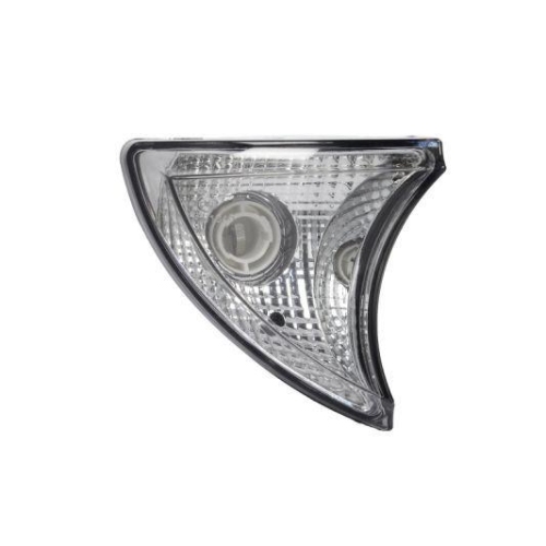 TRUCKLIGHT Blinkleuchte CL-IV006R