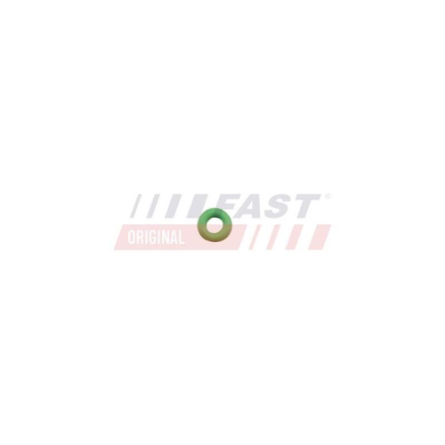 FAST Dichtring, D&uuml;senschacht FT49650