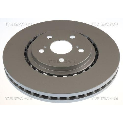TRISCAN Bremsscheibe 8120 131073C