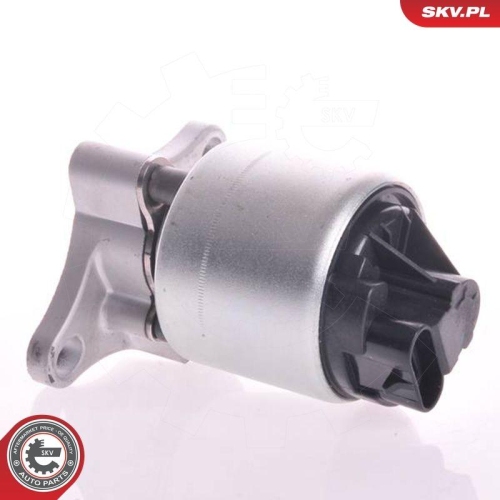 ESEN SKV AGR-Ventil 14SKV002