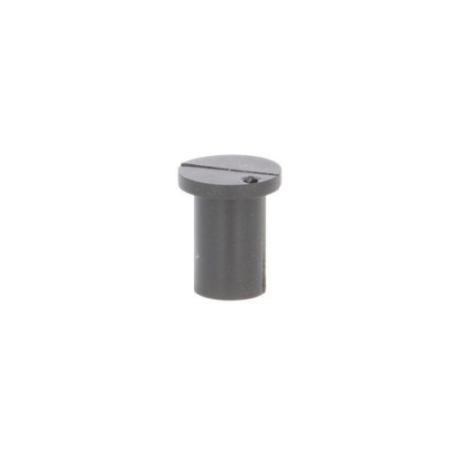 ENGITECH Abdeckung, Einspritzd&uuml;se ENT250001