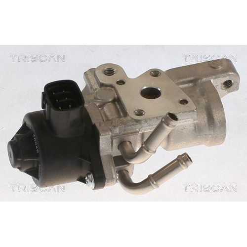 TRISCAN AGR-Ventil 8813 13070