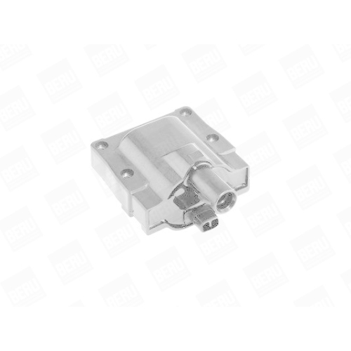 BorgWarner (BERU) Z&uuml;ndspule ZS445