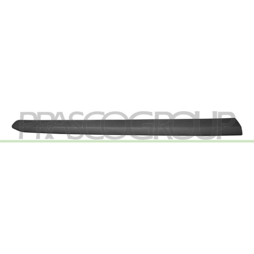 PRASCO Zier-/Schutzleiste, T&uuml;r FT9101403