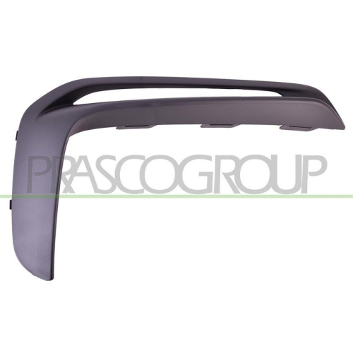 PRASCO Zier-/Schutzleiste, Sto&szlig;f&auml;nger PR5081223