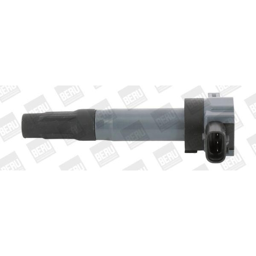 BorgWarner (BERU) Z&uuml;ndspule ZSE189