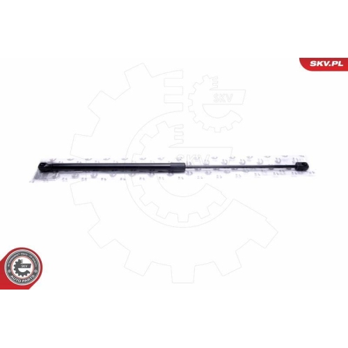 ESEN SKV Gasfeder, Koffer-/Laderaum