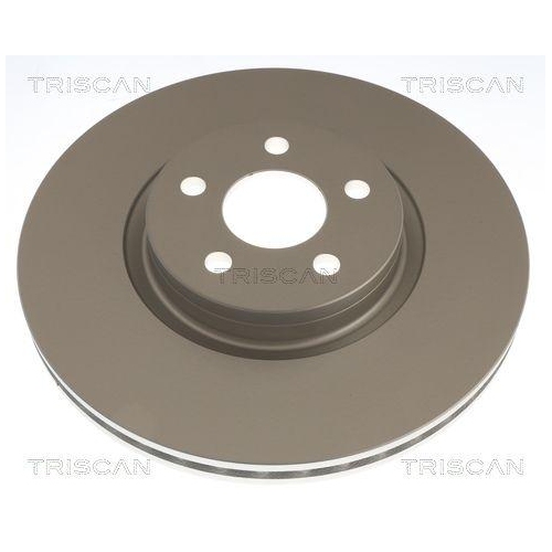 TRISCAN Bremsscheibe 8120 161002C