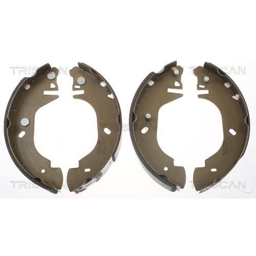 TRISCAN Bremsbackensatz 8100 16541