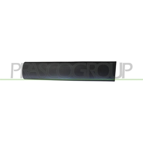 PRASCO Zier-/Schutzleiste, T&uuml;r CI9151453