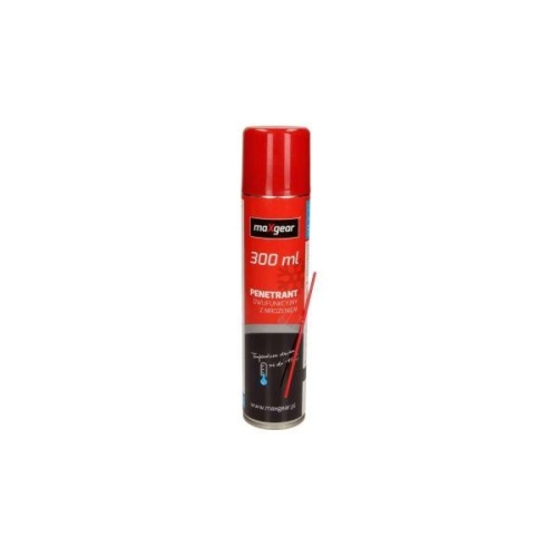 MAXGEAR Enteiser 36-0141