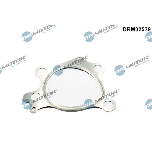 Dr.Motor Automotive Dichtung, Abgasrohr DRM02579