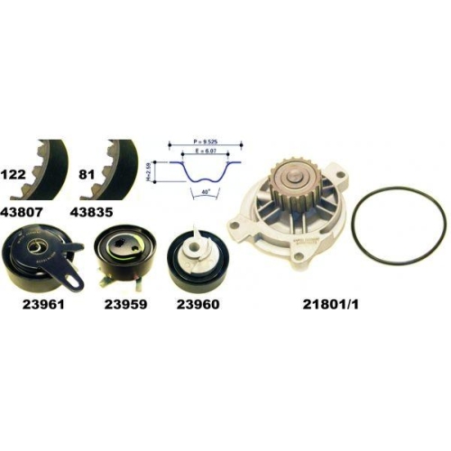 MAPCO Wasserpumpe + Zahnriemensatz 41819/1