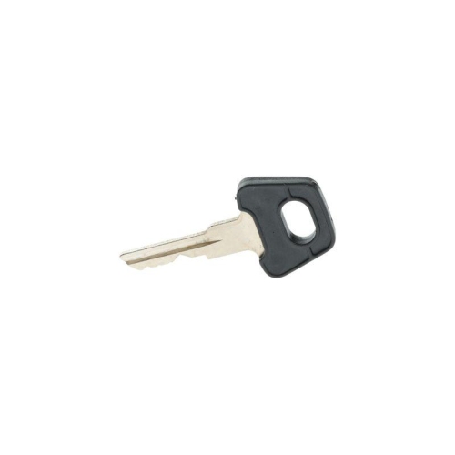 BOSCH Schl&uuml;ssel 3 341 982 209
