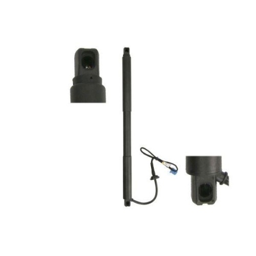 Magnum Technology Gasfeder, Einlegeboden (Koffer-/Laderaum) MGS3150MT