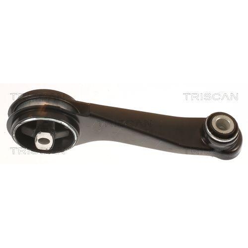 TRISCAN Lagerung, Motor 8505 25104