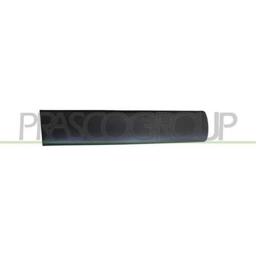 PRASCO Zier-/Schutzleiste, T&uuml;r CI9151454