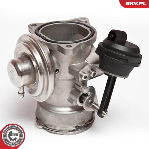 ESEN SKV AGR-Ventil 14SKV025