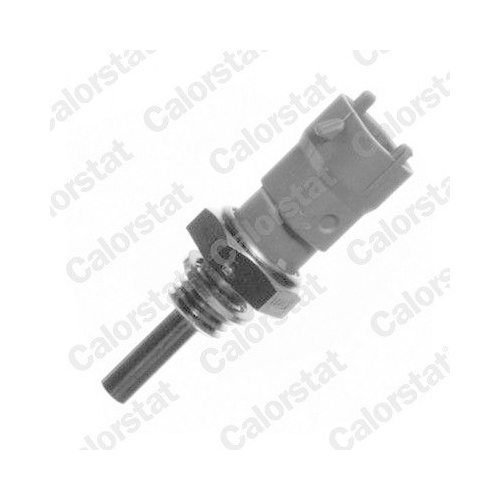 CALORSTAT by Vernet Sensor, K&uuml;hlmitteltemperatur WS2598
