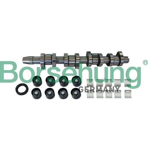 Borsehung Nockenwellensatz