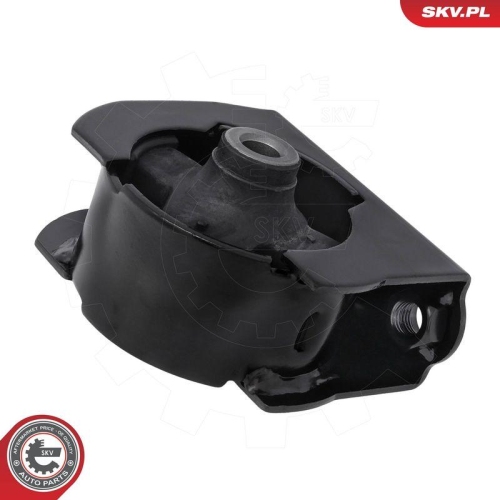 ESEN SKV Lagerung, Motor 75SKV262