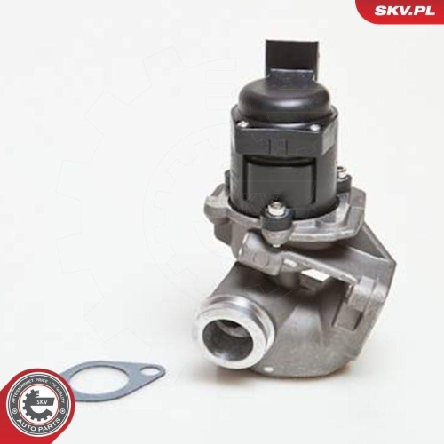 ESEN SKV AGR-Ventil 14SKV028