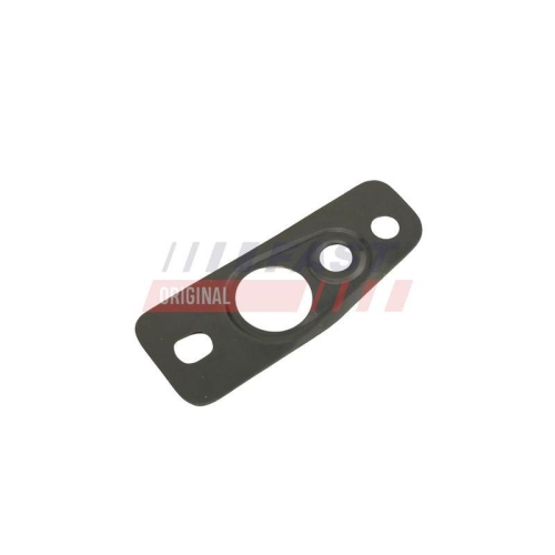 FAST Dichtung, &Ouml;lauslass (Lader) FT48807