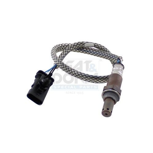 MEAT & DORIA Lambdasonde