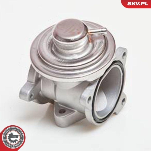 ESEN SKV AGR-Ventil 14SKV034