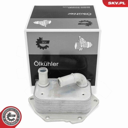 ESEN SKV &Ouml;lk&uuml;hler, Motor&ouml;l