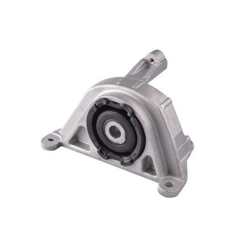 TEDGUM Lagerung, Motor