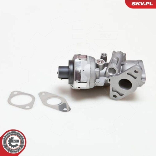 ESEN SKV AGR-Ventil 14SKV038