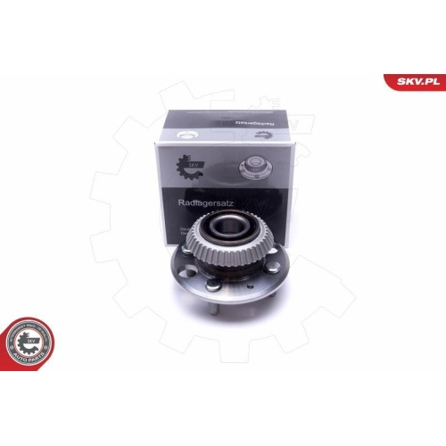ESEN SKV Radlagersatz