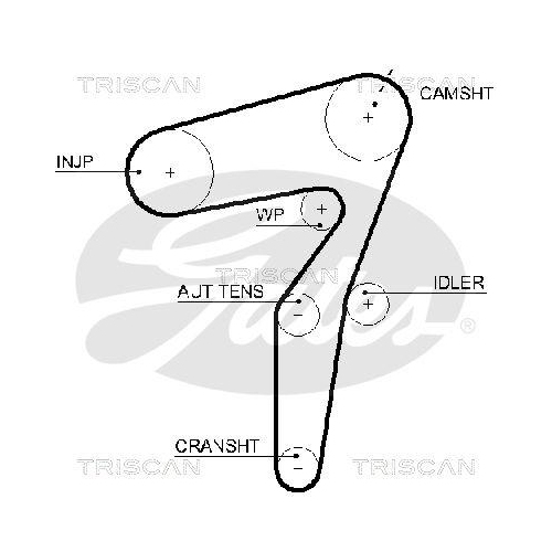 TRISCAN Zahnriemen 8645 5623XS