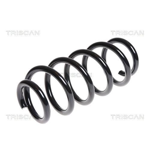 TRISCAN Fahrwerksfeder 8750 13166