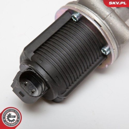 ESEN SKV AGR-Ventil 14SKV055