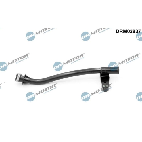 Dr.Motor Automotive Trichter, &Ouml;lpeilstab DRM02837