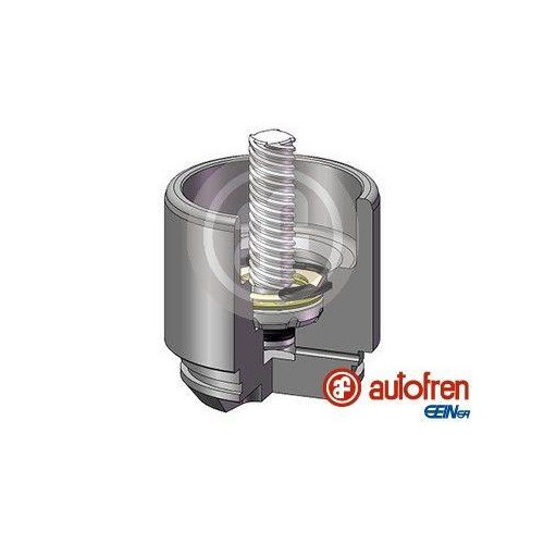 AUTOFREN SEINSA Kolben, Bremssattel