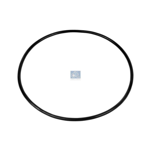 DT Spare Parts Dichtung, Flansch-Zentrifugalreiniger 1.10170