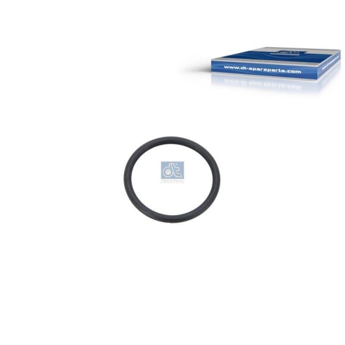 DT Spare Parts Dichtring 1.10173